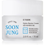 Cumpara ieftin ETUDE SoonJung Hydro Barrier Cream crema intens hidratanta si calmanta pentru piele sensibila si iritabila 75 ml