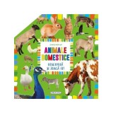 Carte pop-up. Animale domestice. Descopera si joaca-te