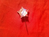 Insigna Iugoslavia SSOJ , anii 50 - Pentru Tineret , metal si email , d=1,8cm