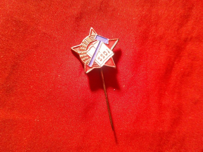 Insigna Iugoslavia SSOJ , anii 50 - Pentru Tineret , metal si email , d=1,8cm