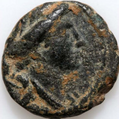 Moneda antica Seleucos III, SELEUCIA, 225-223 I. E. N., bronz