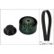 Set curea transmisie Renault Twingo 2 (Cn0) 03.07-, Twingo 2 Box / Liftback (Cno) 09.10-09.14, INA