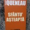 RAYMOND QUENEAU - SFANTU ASTEAPTA