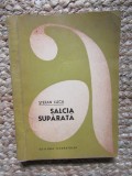 SALCIA SUPARATA - STEFAN LUCA