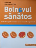 Bolnavul Sanatos - Hans Lieb, Andreas Von Pein ,559101, 2019, Paralela 45