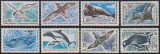 Teritoriul Antarctic Francez (TAAF) - 1976 - Fauna, Nestampilat