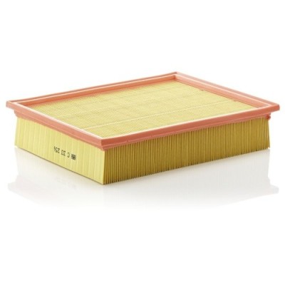 Filtru aer Mann-Filter C33256 foto