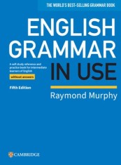 English Grammar in Use Book Without Answers: A Self-Study Reference and Practice Book for Intermediate Learners of English
