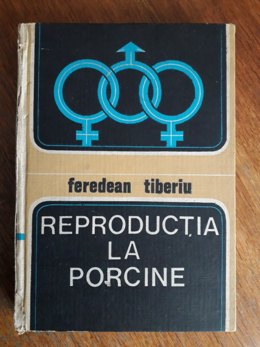 Reproductia la porcine - Feredean Tiberiu / R4P1F