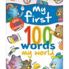 My First 100 Words: My World - Paperback brosat - Carmen Busquets - Girasol