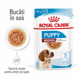 Cumpara ieftin Royal Canin Medium Puppy hrana umeda caine junior (in sos), 10 x 140 g