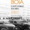 Capcanele istoriei - Editie lux LUCIAN BOIA