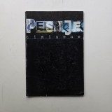 Peisaje Timisene, Centrul Judetean al Creatiei Populare Timis, catalog, Timisoara, 1997
