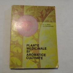 PLANTE MEDICINALE SI AROMATICE CULTIVATE - ING. FL. CRACIUN, ING. A. CONSTANTINESCU - (autograf si dedicatie)