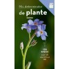 Mic Determinator Plante cu Flori, Eva-Maria Dreyer, Editura Casa, Botanica, 128 pagini, 2024, Romana
