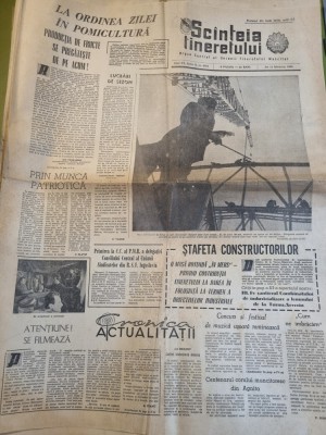 scanteia tineretului 13 februarie 1964-combinatul lemnului turnu severin foto