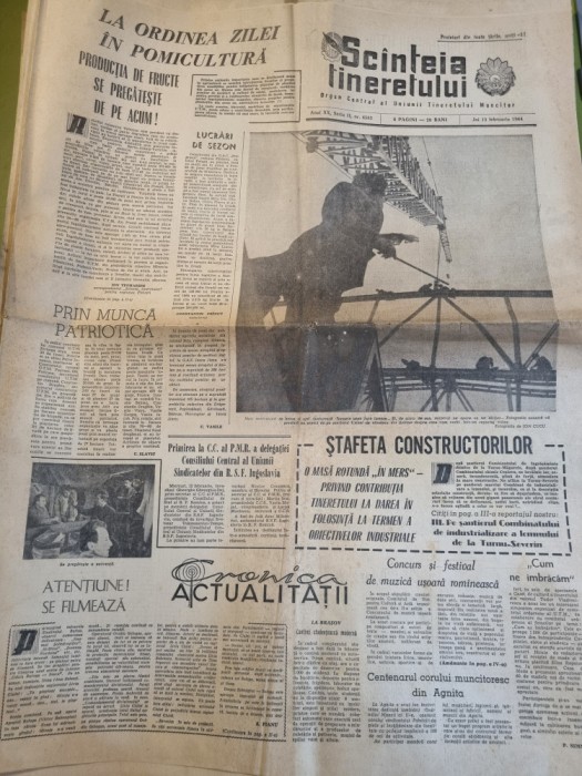 scanteia tineretului 13 februarie 1964-combinatul lemnului turnu severin