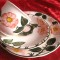 SET MIC DEJUN PORTELAN VILLEROY&amp;BOCH MODEL WILD ROSE CEASCA CAFEA CU FARFURII