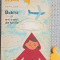Bobiță și avionul de h&acirc;rtie - Radu Nor - ilustrații de Burschi Gruder