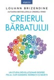 Creierul bărbatului - Paperback brosat - Louann Brizendine - Litera