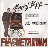 Marius Popp &amp; Peter Wertheimer - Flasnetarium (Vinyl), Jazz, electrecord
