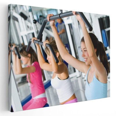 Tablou femei facand exercitii fitness Tablou canvas pe panza CU RAMA 80x120 cm foto