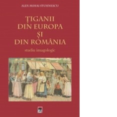 Tiganii din Europa si din Romania - Alex Mihai Stoenescu