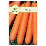 Seminte Morcov Nantes, 10 gr, Hobby, Soi Timpuriu, Recoltare Iunie-Octombrie