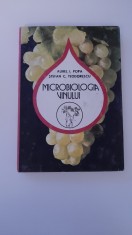 AUREL I. POPA, STEFAN C. TEODORESCU - MICROBIOLOGIA VINULUI