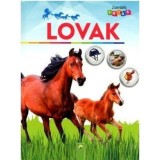 Fascinating facts: Horses