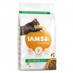 Iams Cat Adult Chicken 2 kg foto