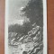 Carte postala ilustrata, Varianta (De voi adormi curand )/Eminescu, 1924