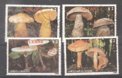 Guyana 1989 Mushrooms, used M.233 foto