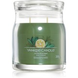 Yankee Candle Sage &amp; Citrus lum&acirc;nare parfumată Signature Signature 368 g