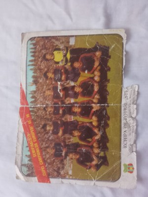 Fotografie steaua foto
