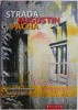 Strada Augustin Pacha. Curti interioare - Viorel Marineasa, Daniel Vighi. Biografii