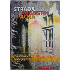 Strada Augustin Pacha. Curti interioare &ndash; Viorel Marineasa, Daniel Vighi