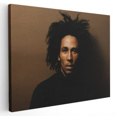 Tablou afis Bob Marley cantaret 2289 Tablou canvas pe panza CU RAMA 80x120 cm