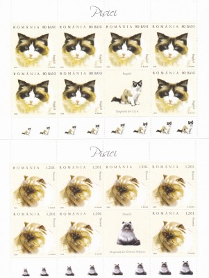 PISICI,SET MINICOLI,2006,Lp.1707b, MNH ** ROMANIA. foto