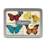 Magnet Butterflies - mai multe modele | Cavallini Papers &amp; Co. Inc.