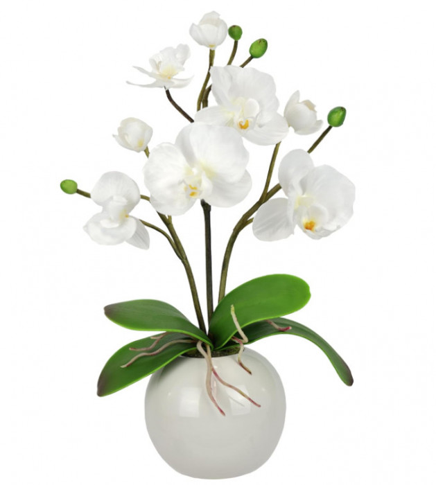 Orhidee artificiala in ghiveci, Floare artificiala - RESIGILAT