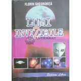 Lumi invizibile - 2002 - Florin Gheorghita ($D2)