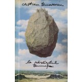 LA RASARITUL TEMNITEI-CRISTIAN TANASESCU-164909
