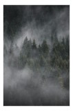Tablou Canvas, "Misterul pădurii &icirc;nvăluite &icirc;n ceață", Ceață, Pădure, Mister, Liniște, Verdeață, Frumusețe, Tainic, Natură, Umede, Seninătate, 26 x 39