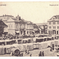 163 - TARGU-SECUIESC, Covasna, market - old postcard - unused - 1918