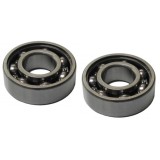 Rulmenti Ambielaj Drujba, Motocoasa Model China