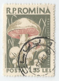 **Rom&acirc;nia, LP 457/1958, Ciuperci comestibile, eroare 1, oblit.