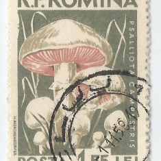 **România, LP 457/1958, Ciuperci comestibile, eroare 1, oblit.