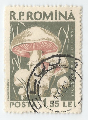 **Rom&amp;acirc;nia, LP 457/1958, Ciuperci comestibile, eroare 1, oblit. foto