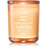 DW Home Prime Salted Mango lum&acirc;nare parfumată 262 g